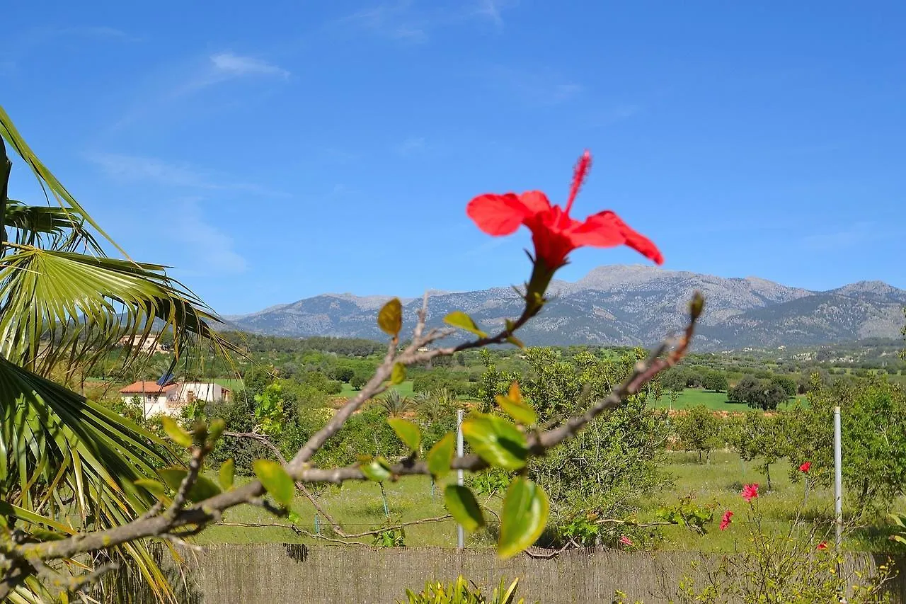 Villa Tramuntana 171 By Mallorca Charme Inca  Spain